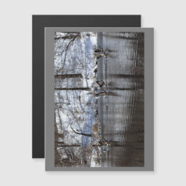 Gänse, die vom Wasser abheben Magnetkarte