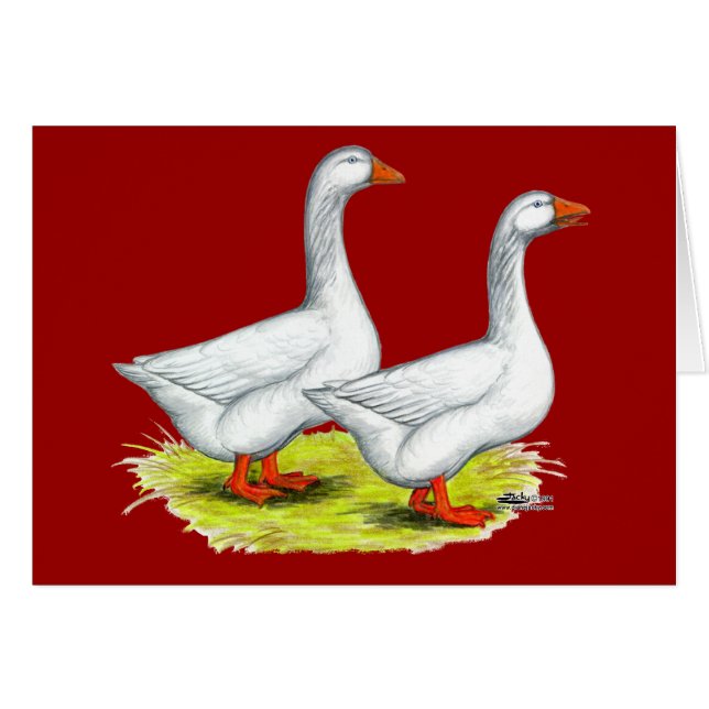 Gänse: Embden Pair (Vorderseite (Horizontal))