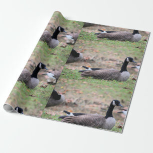 Gänse Geschenkpapier