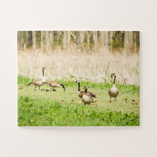 Gänse & Goslings Oversifiziert Puzzle (Horizontal)