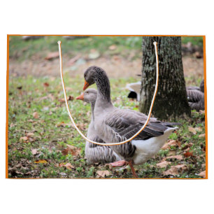 Gänse Große Geschenktüte