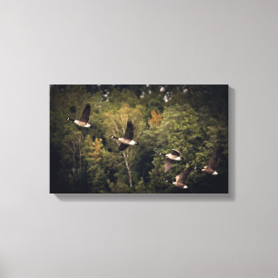 Gänse im Flug 14" x 11", 1,5", Einzelbild Leinwanddruck