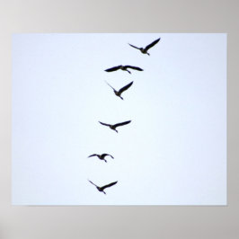 Gänse im Flug 20x16 Poster Print Wall Art Decor