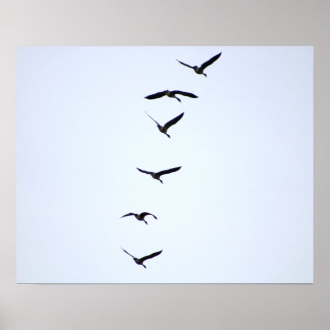Gänse im Flug 20x16 Poster Print Wall Art Decor (Vorne)