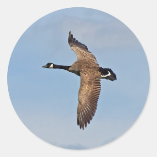 Gänse im Flug Runder Aufkleber