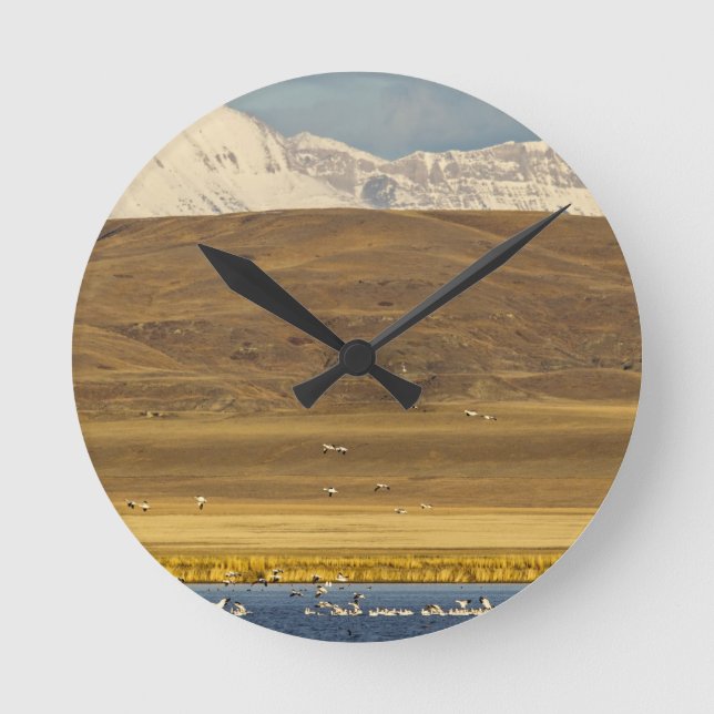 Gänse im Frühjahr Runde Wanduhr (Vorderseite)