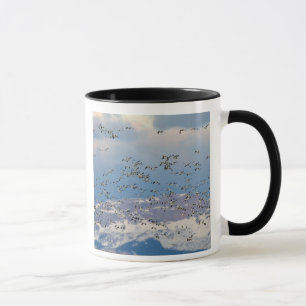 Gänse im Frühjahr Tasse