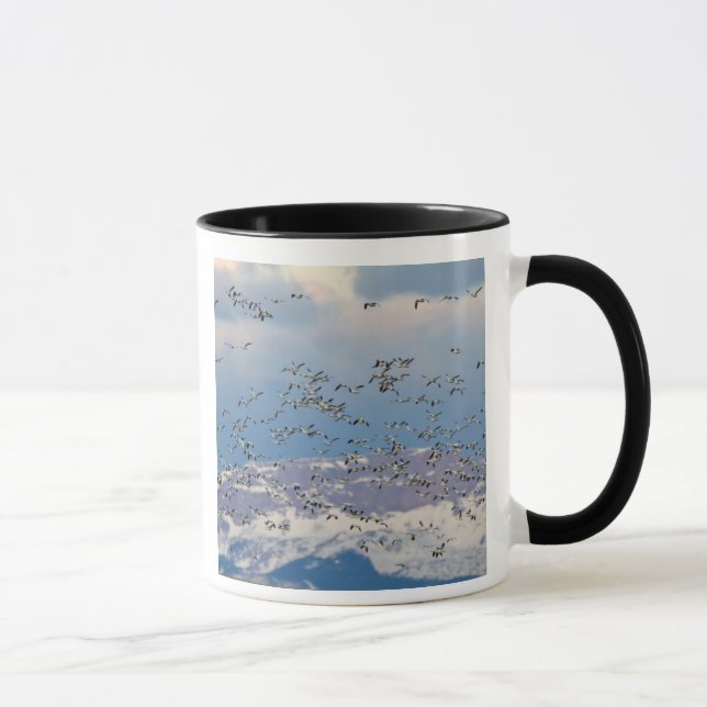 Gänse im Frühjahr Tasse (Rechts)