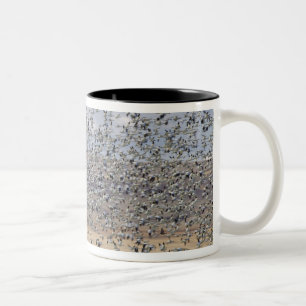 Gänse im Frühjahr Zweifarbige Tasse