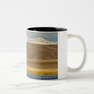 Gänse im Frühjahr Zweifarbige Tasse