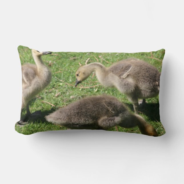 Gänse im Gras Lendenkissen (Vorderseite)