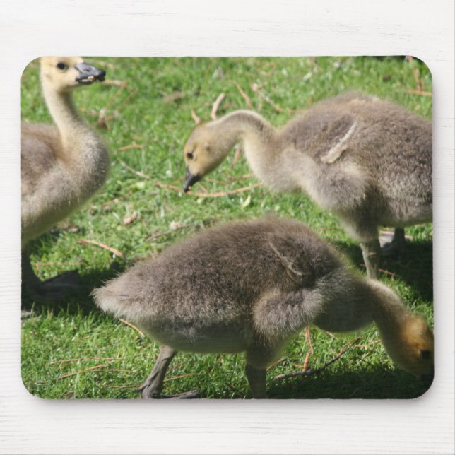 Gänse im Gras Mousepad (Vorne)