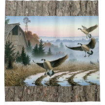 Gänse im landwirtschaftlichen Feld