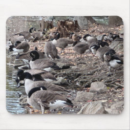 Gänse im Park-Mauspad Mousepad