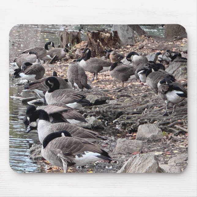 Gänse im Park-Mauspad Mousepad (Vorne)
