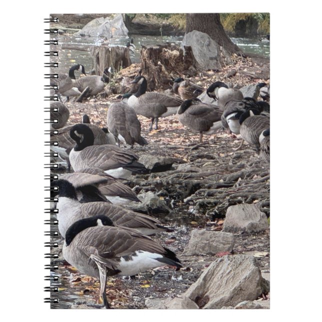 Gänse im Park Notizbuch Notizblock (Vorderseite)