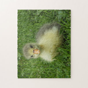 Gänse in üppig grünem Gras Puzzle