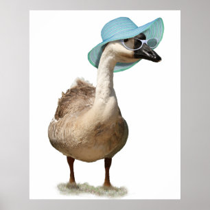 Gänse mit Floppy Blue Summer Hat Poster