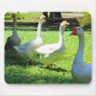 Gänse Mousepad