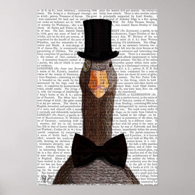 Gänse Poster (Vorne)