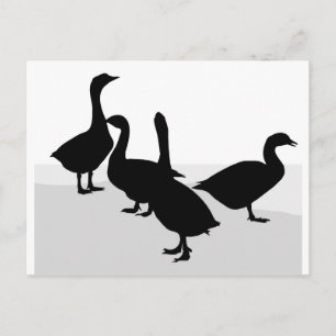 Gänse Postkarte