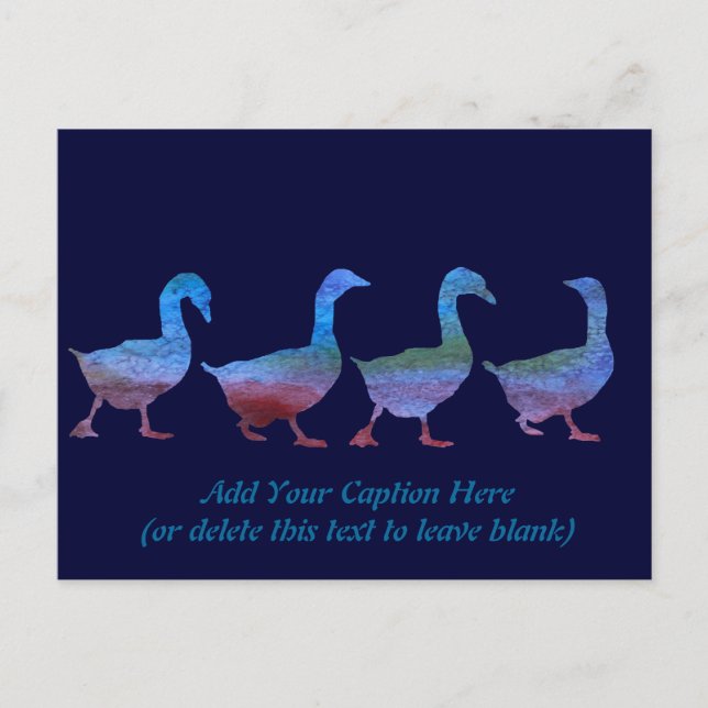 Gänse Postkarte (Vorderseite)