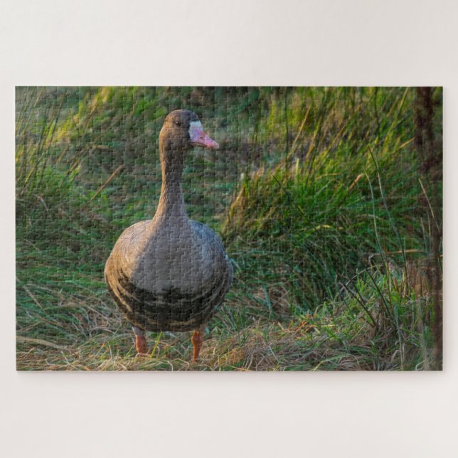 Gänse Puzzle (Horizontal)