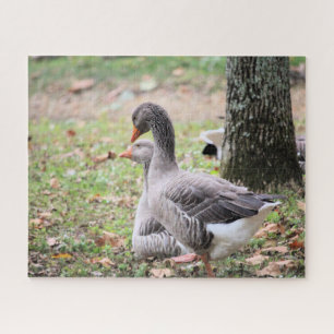Gänse Puzzle