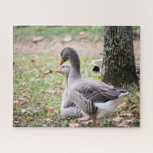 Gänse Puzzle (Horizontal)