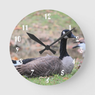 Gänse Runde Wanduhr