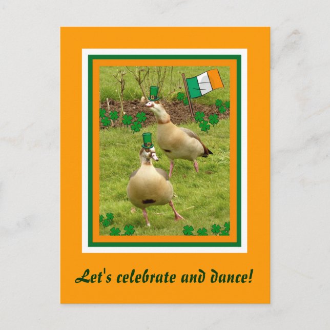 Gänse tanzen ein bisschen irisch postkarte (Vorderseite)