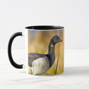 Gänse tasse