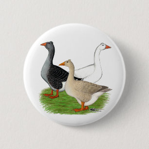 Gänse: Tufted Trio Button