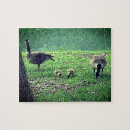 Gänse und Goslings Entspannung der Selbstversorgun Puzzle
