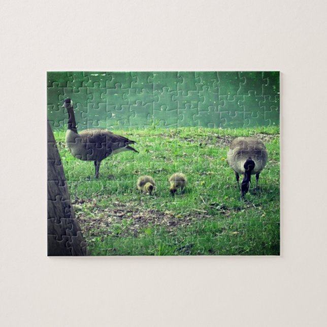 Gänse und Goslings Entspannung der Selbstversorgun Puzzle (Horizontal)