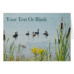 Gänse und Schwänze aus Kanada