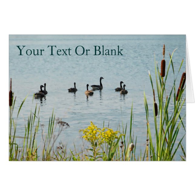 Gänse und Schwänze aus Kanada (Vorderseite (Horizontal))