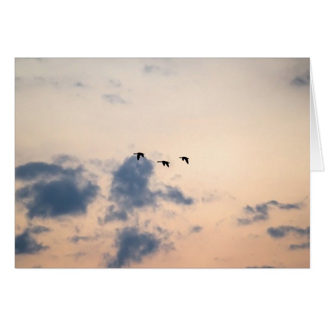 Gänse und weiche Sonnenuntergänge (Vorderseite (Horizontal))