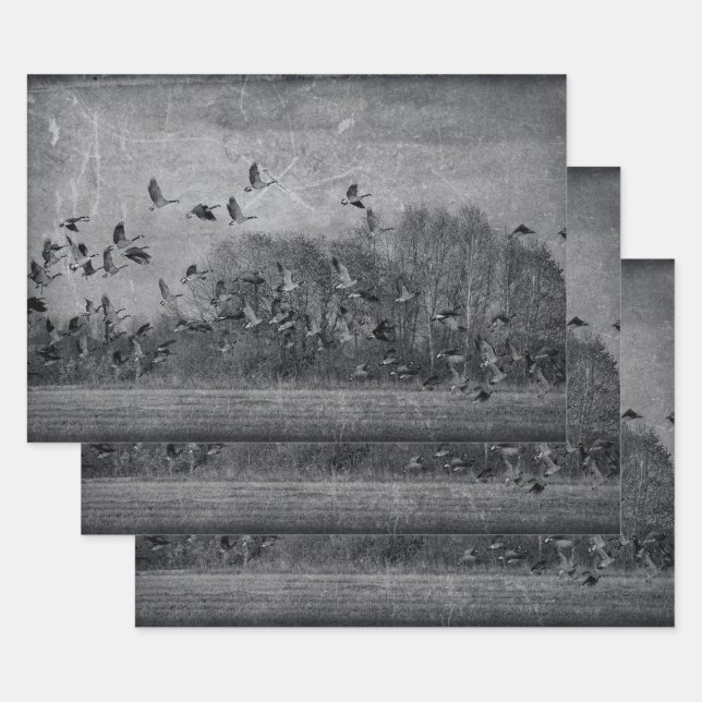 Gänse Vintag Schwarz-Weiß-Textur Geschenkpapier Set (Set)