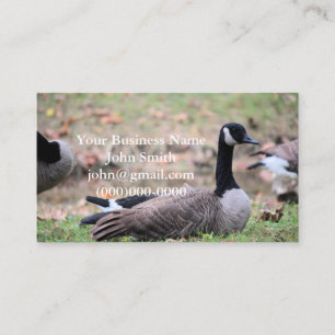 Gänse Visitenkarte