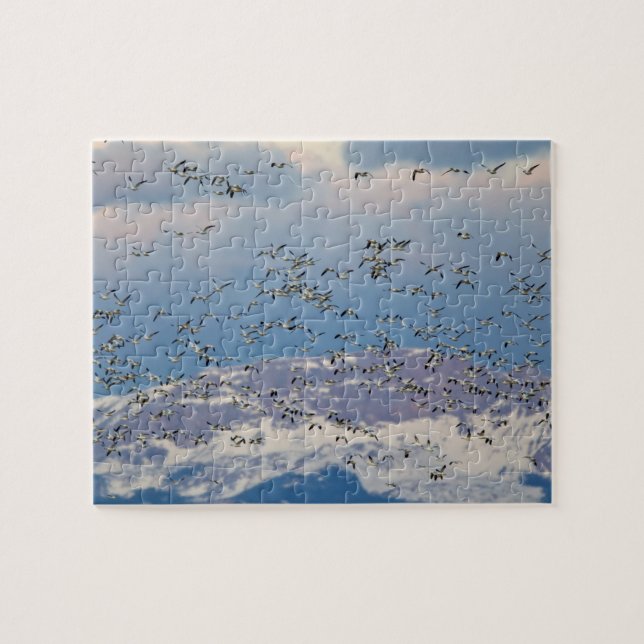 Gänse während der Frühjahrswanderung Puzzle (Horizontal)
