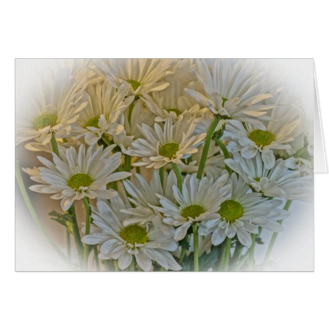 Gänseblümchen-Anmerkungen (Vorderseite (Horizontal))