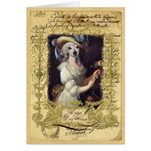 Gänseblümchen Antoinette