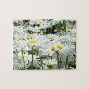 Gänseblümchen Blumen Garten Puzzle Spaß Zeit Puzzl