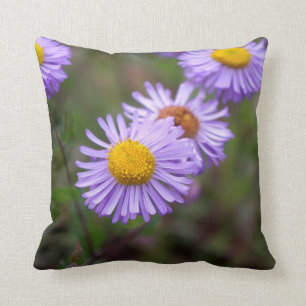 Gänseblümchen-Blumen-Kissen Aspen Fleabane Kissen