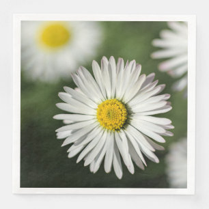 Gänseblümchen Blumenfotografie Serviette