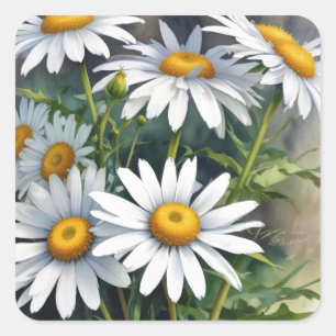 Gänseblümchen Blumenstrauß Elegante Aquarellmalere Quadratischer Aufkleber