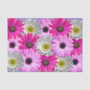 Gänseblümchen-Blumenstrauß Seidenpapier