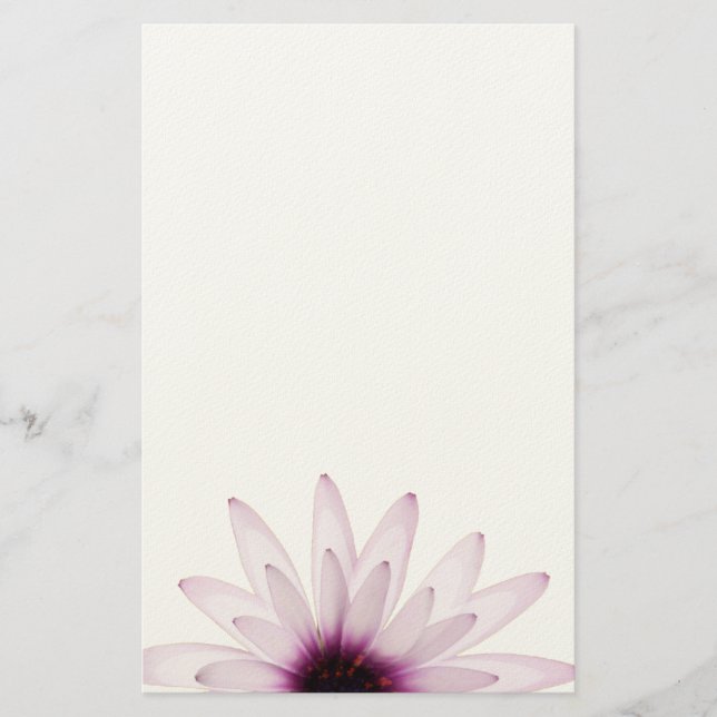 Gänseblümchen Briefpapier (Vorderseite)