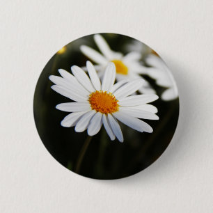 Gänseblümchen Button